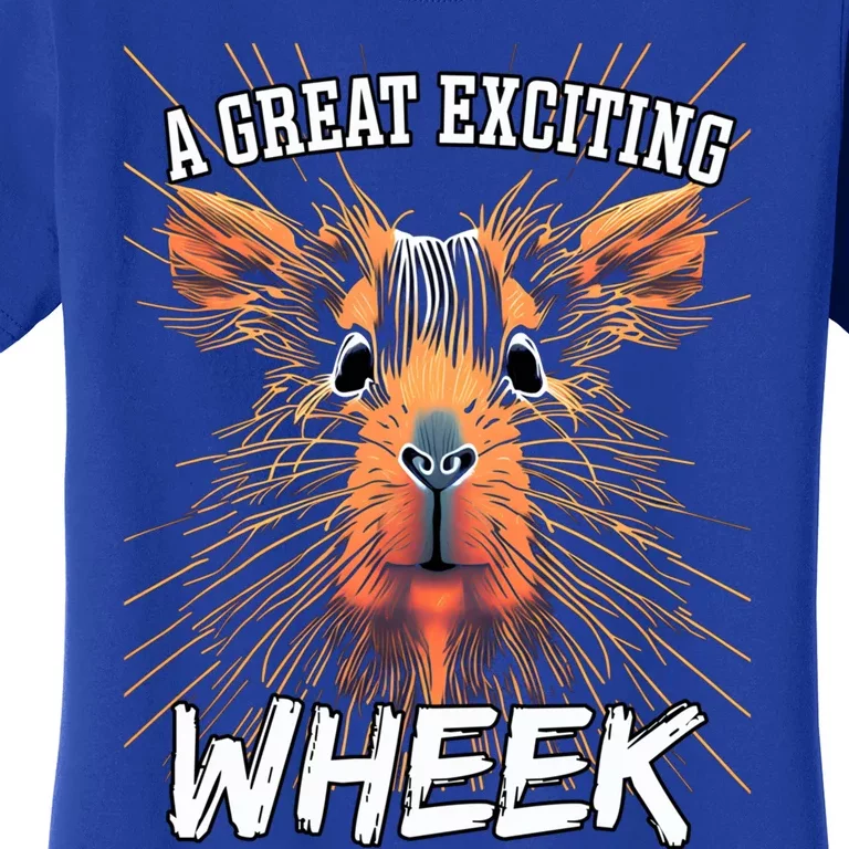 A Great Exciting Week Or Wheek Guinea Pig Gift Women's T-Shirt