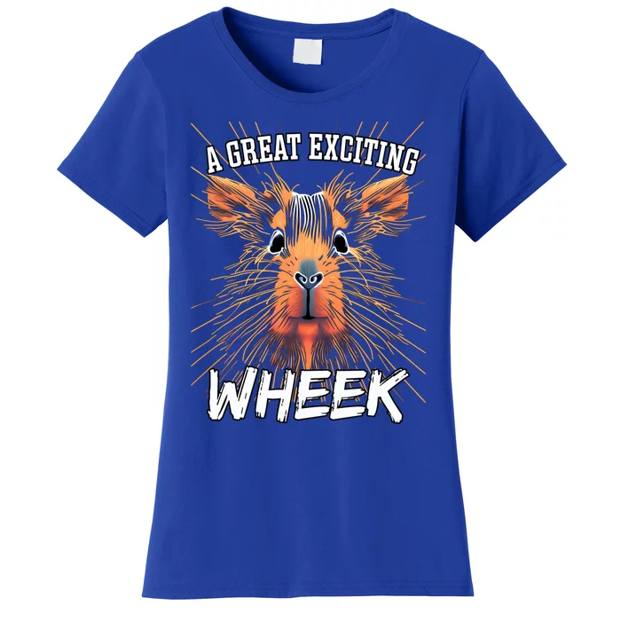 A Great Exciting Week Or Wheek Guinea Pig Gift Women's T-Shirt