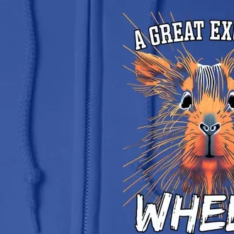 A Great Exciting Week Or Wheek Guinea Pig Gift Full Zip Hoodie