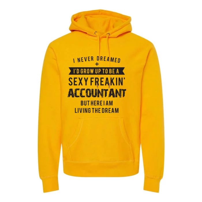 Accountant Graduation Funny For Future Accountant Gift Premium Hoodie