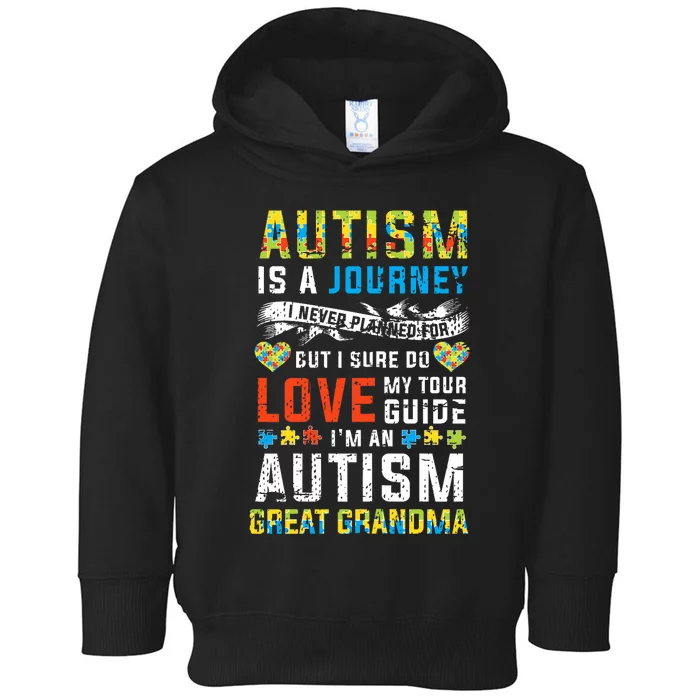 Autism Grandma Great Grandma Journey Quote Autism Awareness Toddler Hoodie