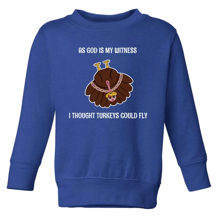 As God Is My Witness I Thought Turkeys Could Fly Funny Gift Toddler Sweatshirt