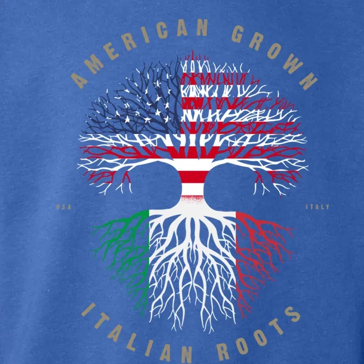 American Grown Italian Roots Italy Flag Gift Toddler Hoodie