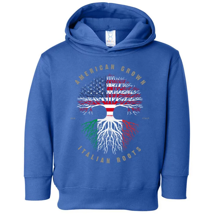 American Grown Italian Roots Italy Flag Gift Toddler Hoodie