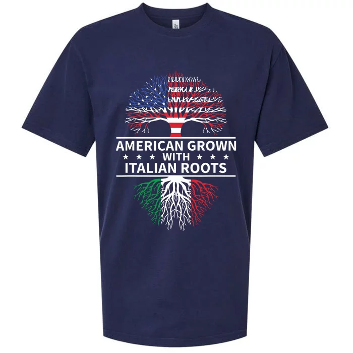 American Grown Italian Roots Shirts Italy Sueded Cloud Jersey T-Shirt