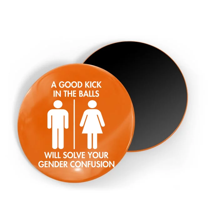 A Good Kick In The Balls Will Solve Your Gender Confusion Magnet