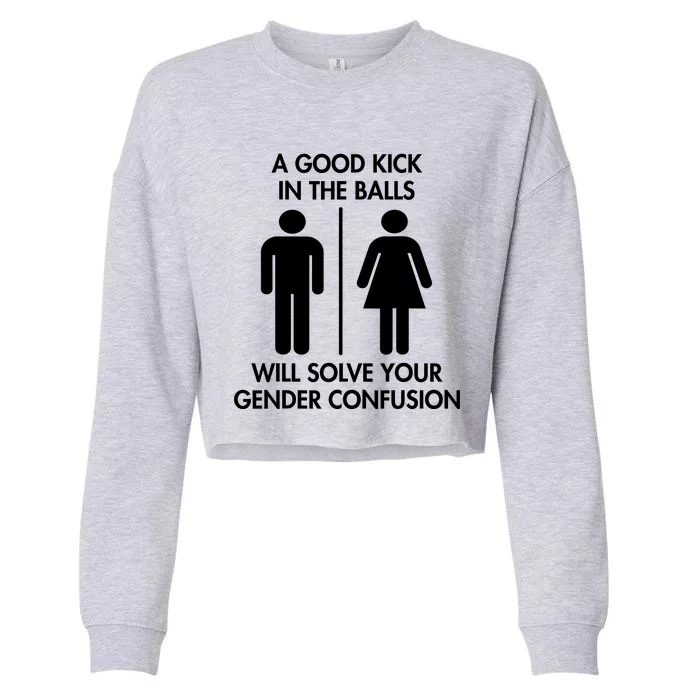 A Good Kick In The Balls Will Solve Your Gender Confusion Cropped Pullover Crew