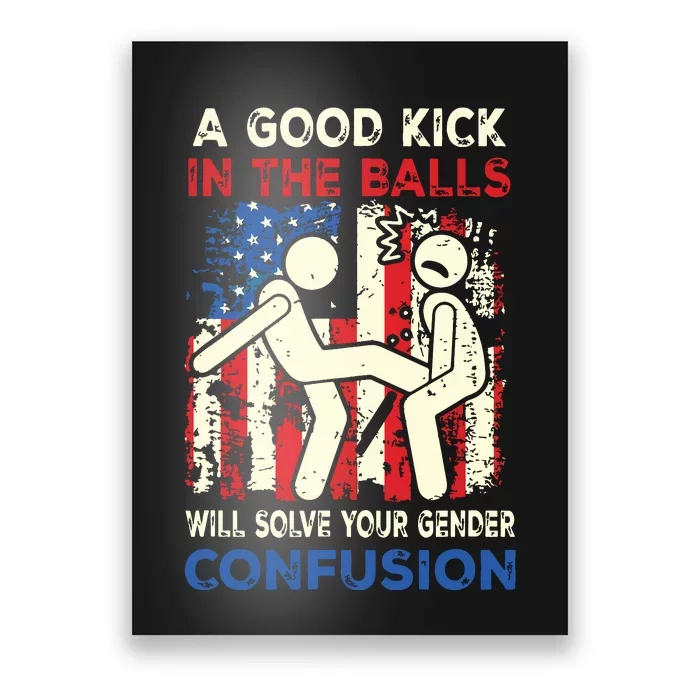 A Good Kick In The Balls Will Solve Your Gender Confusion Poster