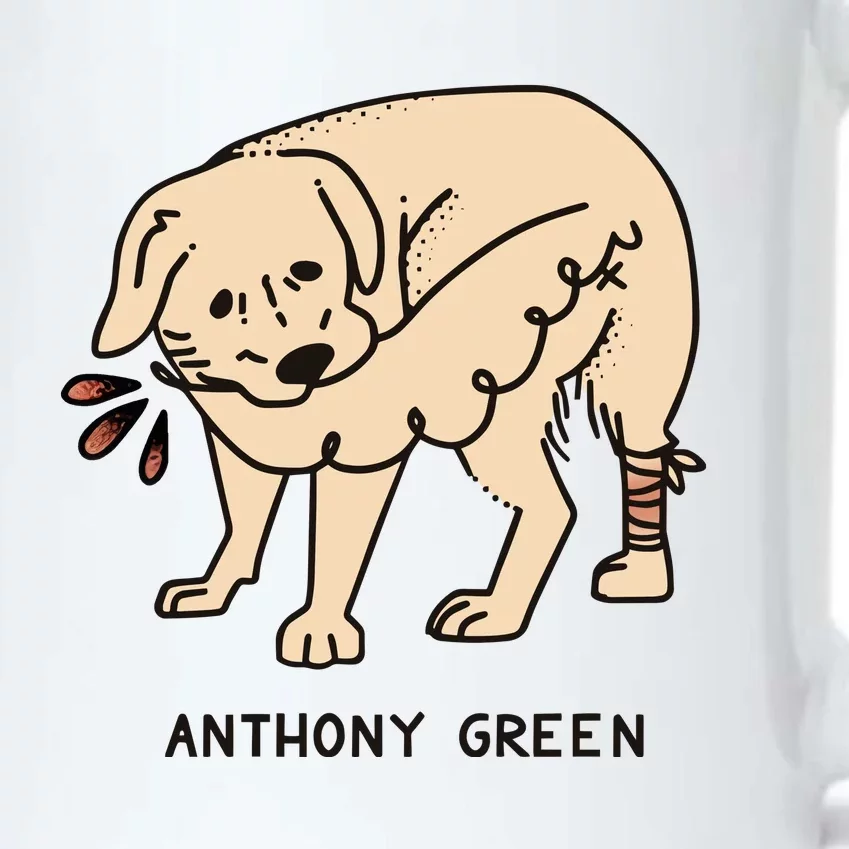 Anthony Green Numb Black Color Changing Mug