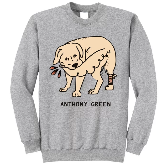 Anthony Green Numb Tall Sweatshirt