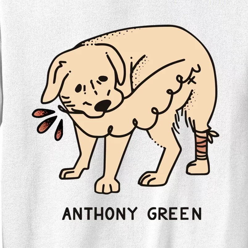 Anthony Green Numb Sweatshirt