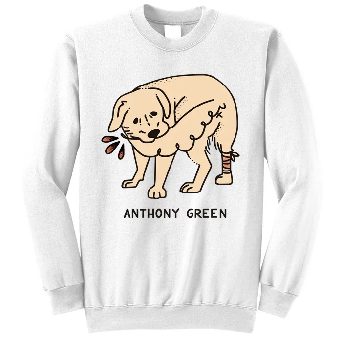 Anthony Green Numb Sweatshirt