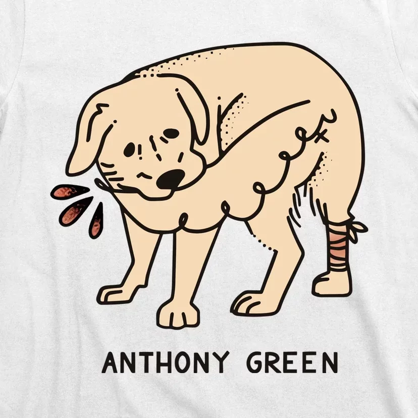 Anthony Green Numb T-Shirt