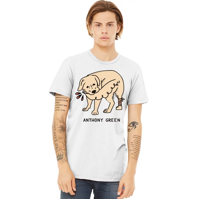 Anthony Green Numb Premium T-Shirt