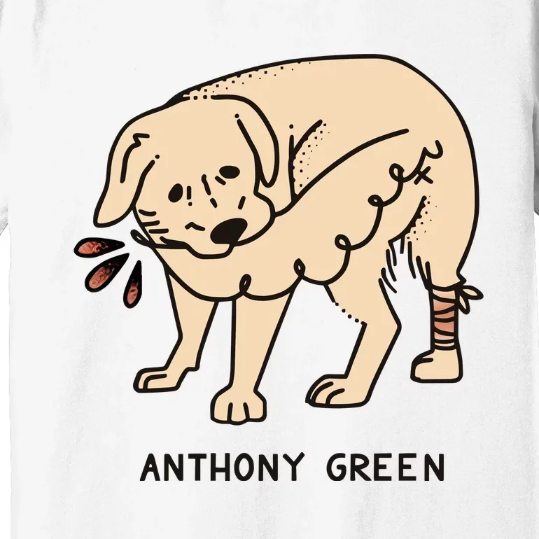 Anthony Green Numb Premium T-Shirt