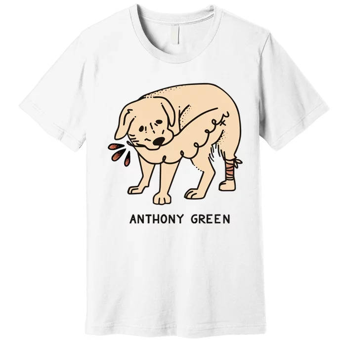 Anthony Green Numb Premium T-Shirt