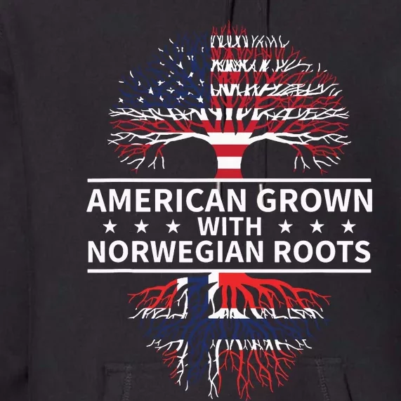 American Grown Norwegian Roots Gift Premium Hoodie