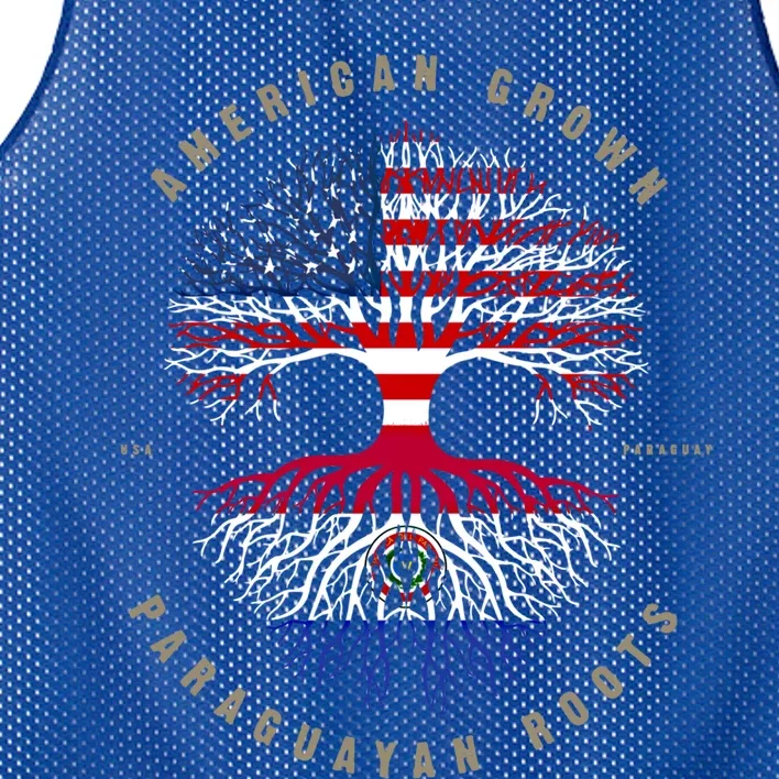 American Grown Paraguayan Roots Paraguay Flag Meaningful Gift Mesh Reversible Basketball Jersey Tank