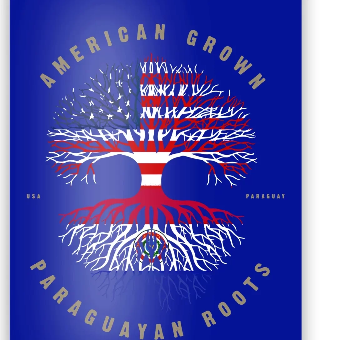 American Grown Paraguayan Roots Paraguay Flag Meaningful Gift Poster