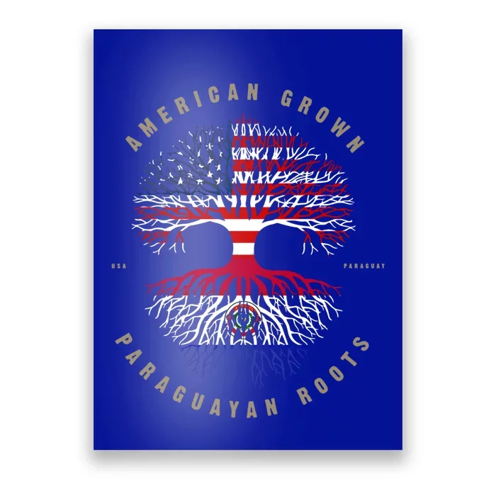 American Grown Paraguayan Roots Paraguay Flag Meaningful Gift Poster