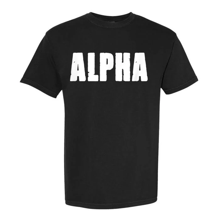 ALPHA Gym Rabbit Workout Bodybuilding Fitness F010 Garment-Dyed Heavyweight T-Shirt