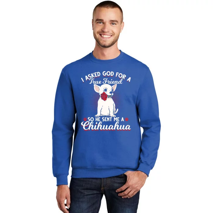 Asked God True Friend Sent Me Chihuahua Moms Funny Gift Sweatshirt