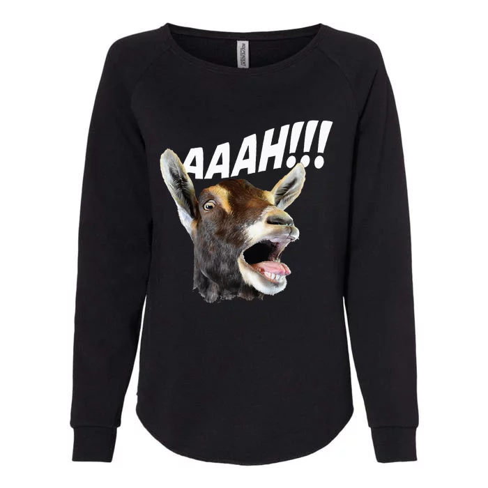 Aaah Goat Whisperer Rancher Farm Animal Farmer Halloween Womens California Wash Sweatshirt