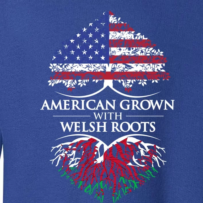 American Grown With Welsh Roots Heart Tree Flag Retro Meaningful Gift Toddler Sweatshirt