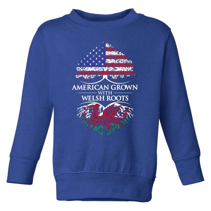 American Grown With Welsh Roots Heart Tree Flag Retro Meaningful Gift Toddler Sweatshirt