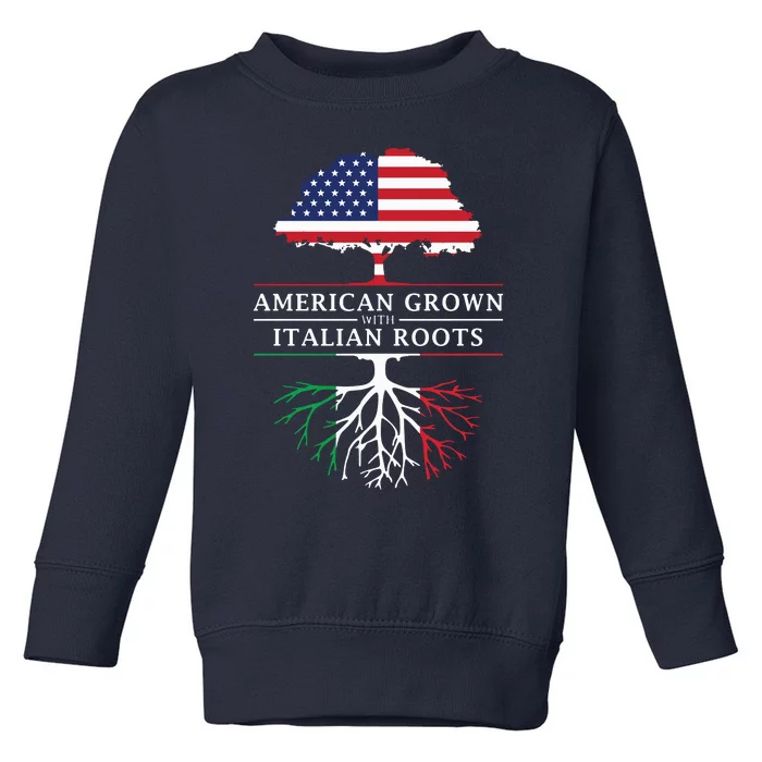 American Grown With Italian Roots Italy Toddler Sweatshirt