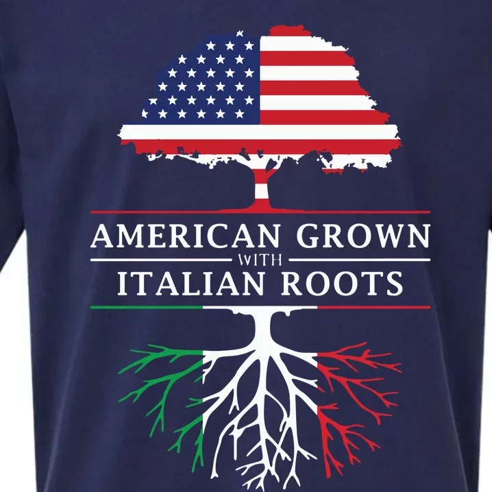 American Grown With Italian Roots Italy Sueded Cloud Jersey T-Shirt