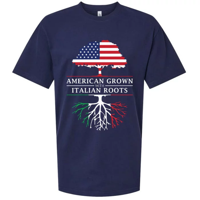 American Grown With Italian Roots Italy Sueded Cloud Jersey T-Shirt