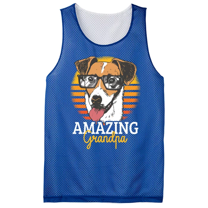 Amazing Grandpa With A Dog Gift Mesh Reversible Basketball Jersey Tank