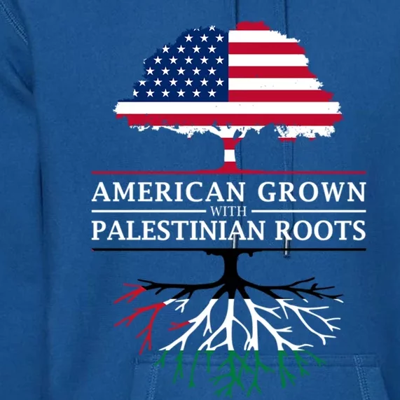 American Grown With Palestinian Roots Palestine Gift Premium Hoodie