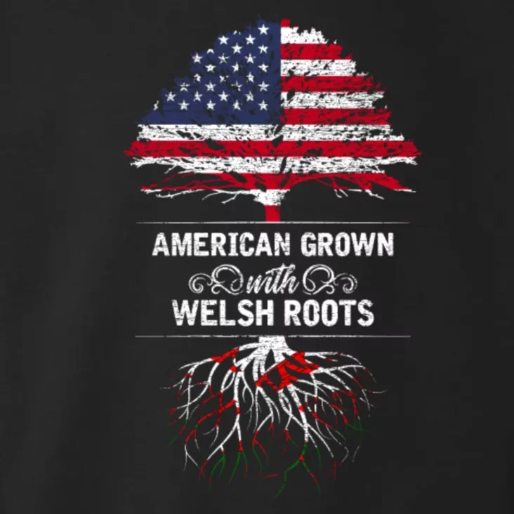 American Grown With Welsh Roots Funny Toddler Hoodie