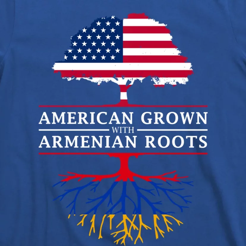 American Grown With Arian Roots Cute Gift Aria Gift T-Shirt