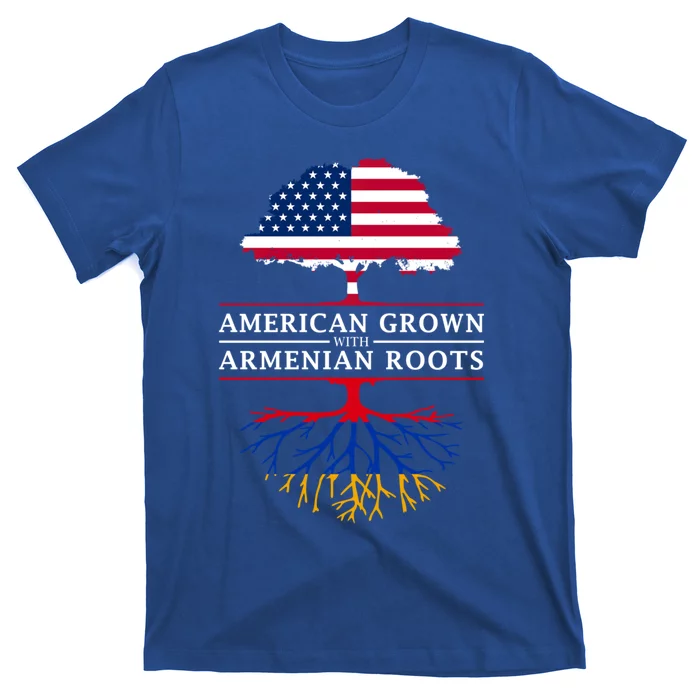 American Grown With Arian Roots Cute Gift Aria Gift T-Shirt