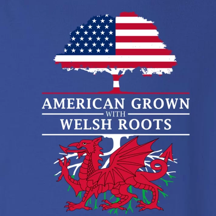 American Grown With Welsh Roots Wales Funny Gift Toddler Long Sleeve Shirt