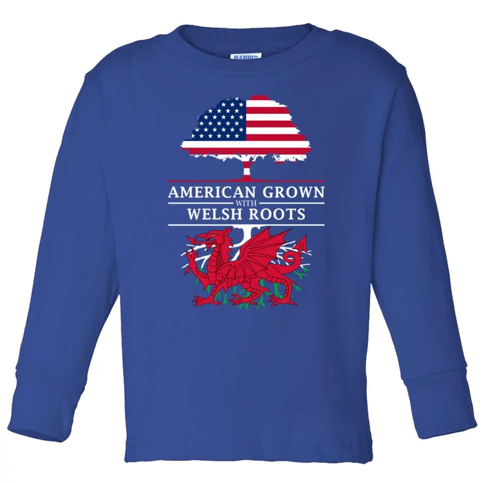 American Grown With Welsh Roots Wales Funny Gift Toddler Long Sleeve Shirt