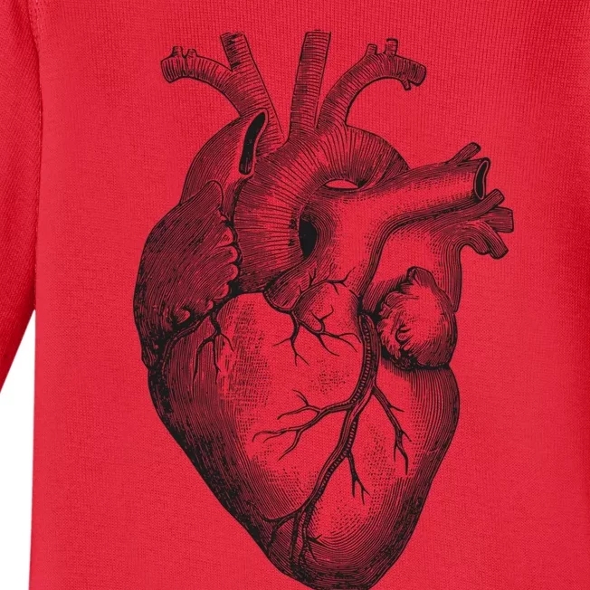 Anatomical Heart (1) Baby Long Sleeve Bodysuit