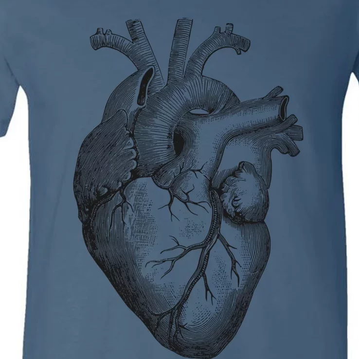 Anatomical Heart (1) V-Neck T-Shirt