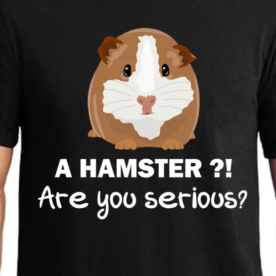 A Hamster?! Are You Serious? Gift Funny Guinea Pig Gift Pajama Set