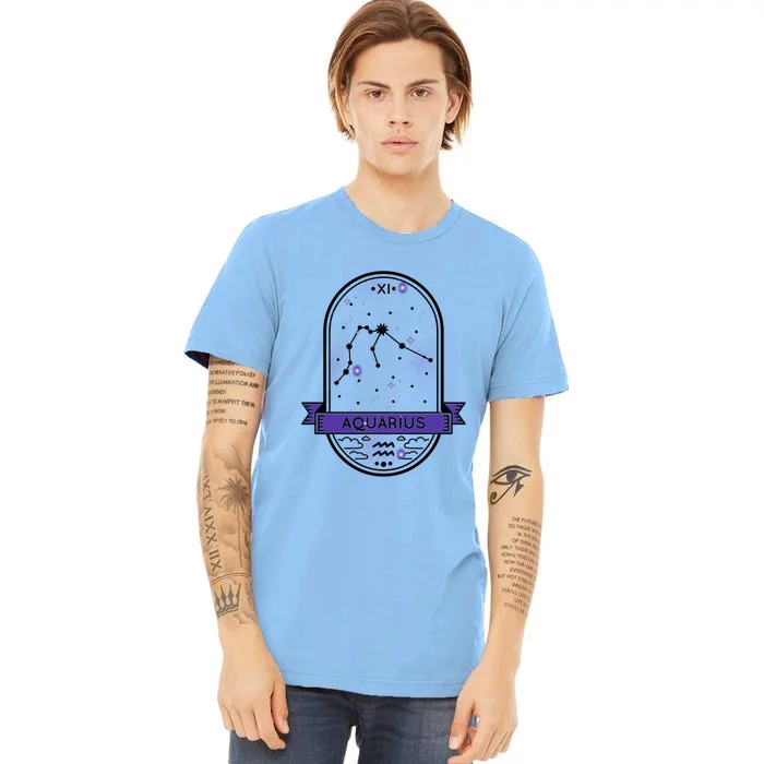 Aquarius Horoscope Astrology Gift Premium T-Shirt