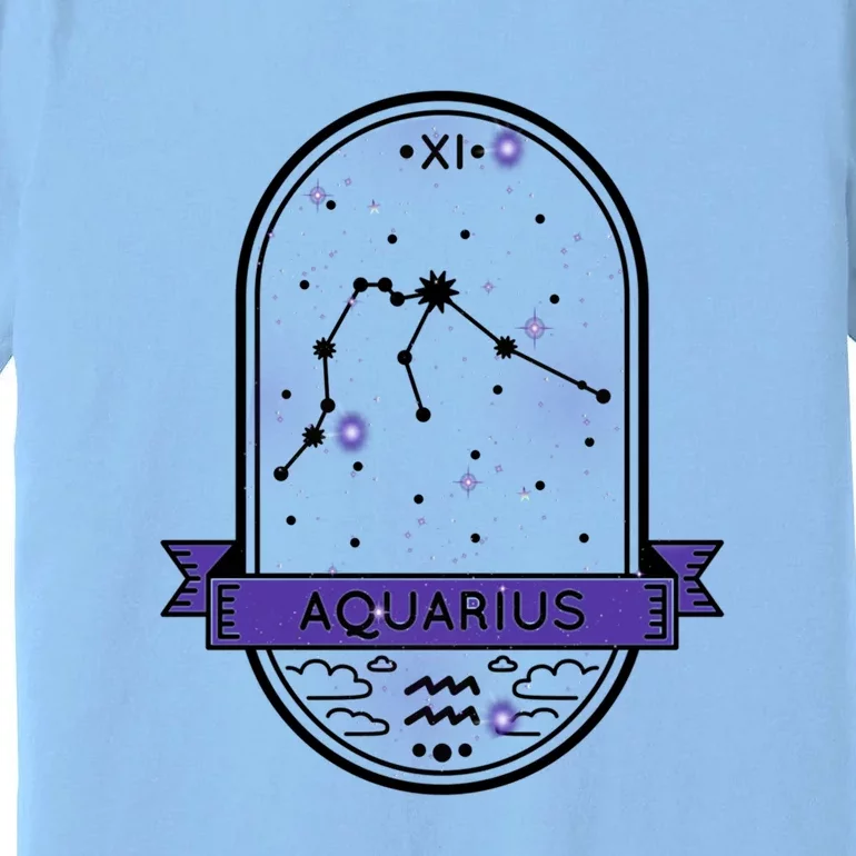 Aquarius Horoscope Astrology Gift Premium T-Shirt