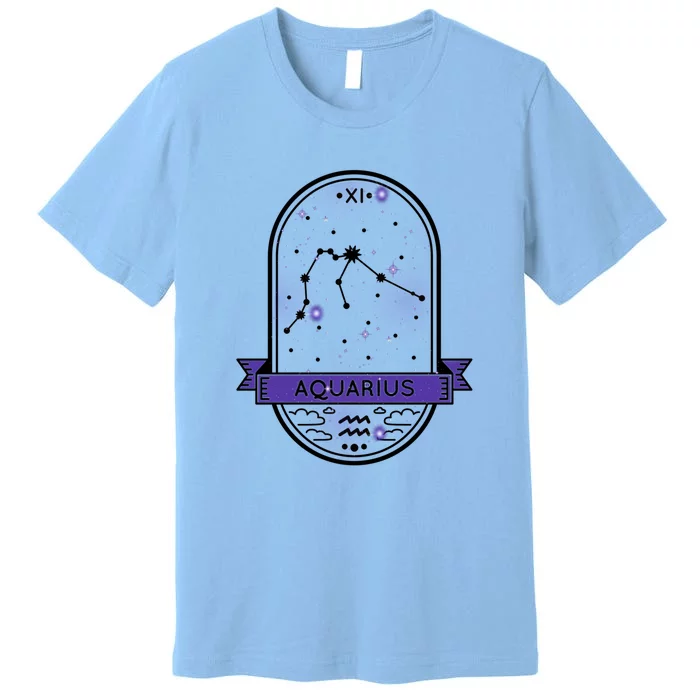 Aquarius Horoscope Astrology Gift Premium T-Shirt