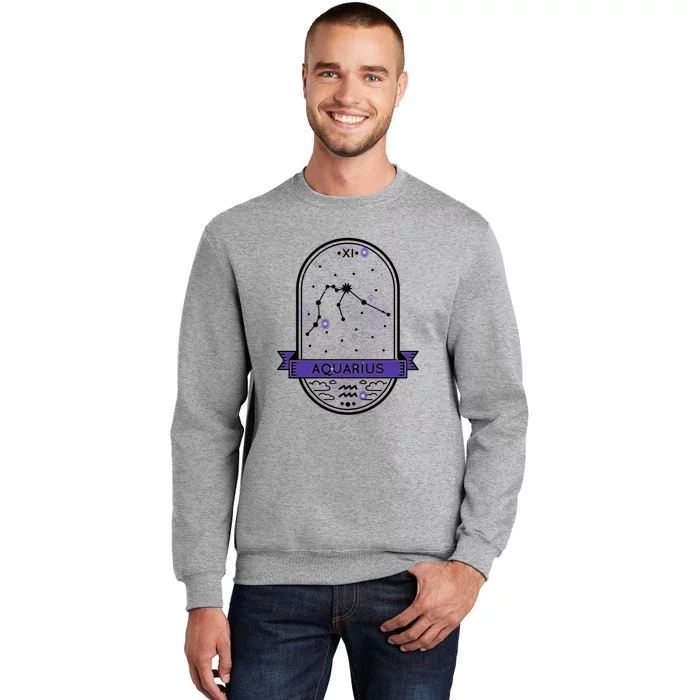 Aquarius Horoscope Astrology Gift Tall Sweatshirt