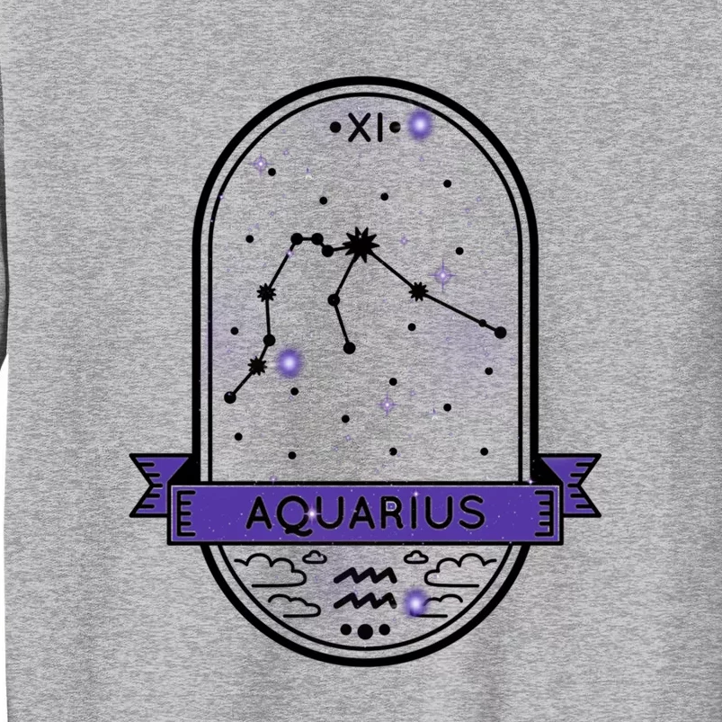 Aquarius Horoscope Astrology Gift Tall Sweatshirt