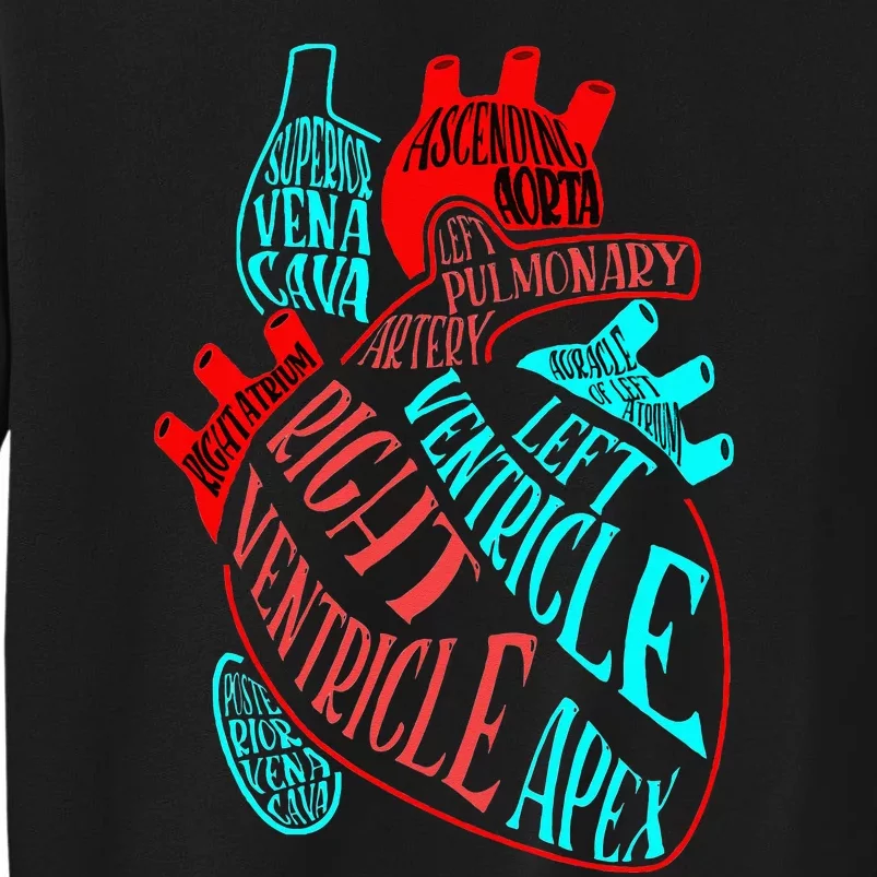 Anatomy Heart Aorta Doctor Nurse Cardiologist Cardiology Tall Sweatshirt