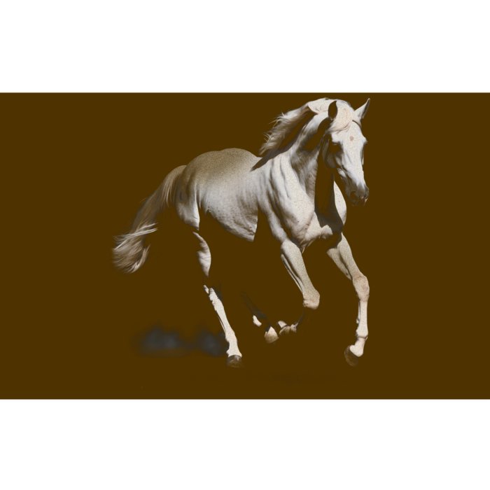 Arabian Horse Bumper Sticker