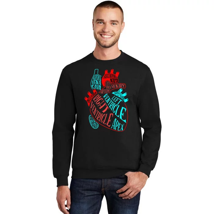 Anatomy Heart Aorta Doctor Nurse Cardiologist Cardiology Tall Sweatshirt